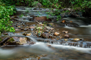 Mountain stream in green forest at spring time