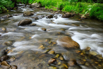 Mountain stream in green forest at spring time