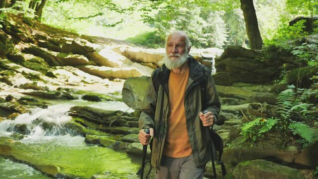 Old Man Tourist with a Backpack Walks in the Valley By the River on a Sunny Day. Walking in the Green Forest, Healthy Lifestyle, Enjoying Nature. Adventure Travel Or Active Lifestyle Concept.