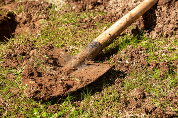 Fototapeta premium Used farming shovel with soil on it. The metal part of the shovel is in selective focus. Gardening, spring, agriculture concept.