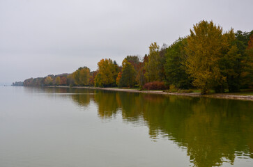 Autumn Colorful trees on the shore line of Ammersee lake in Bavaria in foggy gray weather