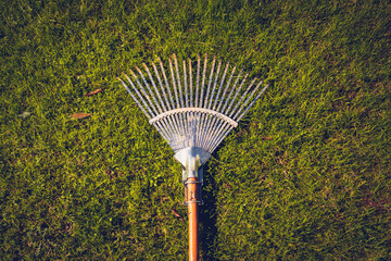 Shiny steel rake with wooden handle on fresh grass. Vintage background photo of gardening harrow in...