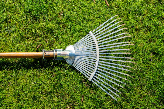 Shiny steel rake with wooden handle on fresh grass. Background photo of gardening harrow in daylight. Gardening, spring concept.