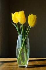 Yellow tulips in glass vase on a wooden table. Still life with daylight