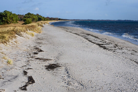 Beddinge Strandhed is a nature reserve and a beach located in Southern Sk&aring;ne in Sweden