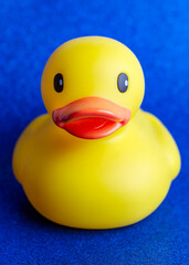 Head on view of a rubber ducky on a blue sparkle background.