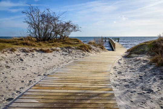 Beddinge Strandhed is a nature reserve and a beach located in Southern Sk&aring;ne in Sweden