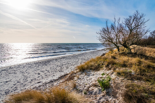 Beddinge Strandhed is a nature reserve and a beach located in Southern Sk&aring;ne in Sweden