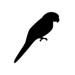 Black parrot icon isolated on white background.