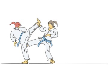 One continuous line drawing of two young talented karateka girls train pose for duel fighting at dojo gym center. Mastery martial art sport concept. Dynamic single line draw design vector illustration