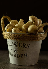 Whole raw fresh white champignon mushrooms