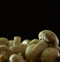 Whole raw fresh white champignon mushrooms