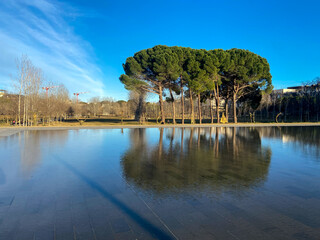 Parc Georges Charpak, quartier de Port Marianne à Montpellier, Occitanie