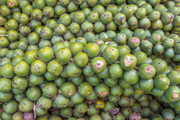 Fruits du palmier à huile, elaeis guineensis