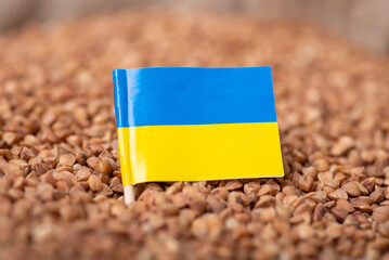 Close-up shot of flag of Ukraine on buckwheat porridge. Harvest of buckwheat in Ukraine