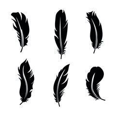 Collection of isolated feathers in black color, stencil, tattoo. Flat illustration