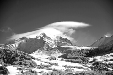 Ane du Mont blanc