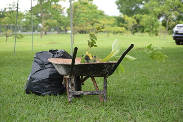 carrinho de mão no jardim