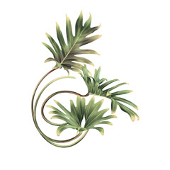 Bouquet with tropical leaves, can be used as greeting card, invitation card for wedding, birthday and other holiday and  summer background. Watercolor illustration. Botanical art.