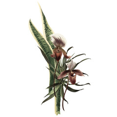 Obraz premium Bouquet with tropical leaves, can be used as greeting card, invitation card for wedding, birthday and other holiday and summer background. Watercolor illustration. Botanical art.