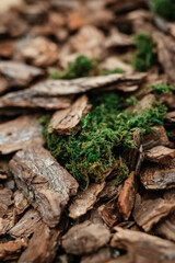 elegant wedding decorations made of natural flowers