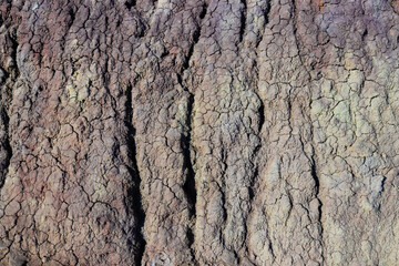 Texture of dry earth ground full of different colors