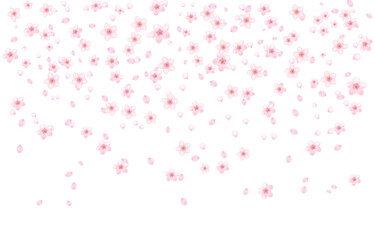 Background of pink apricot flowers , element, design template.