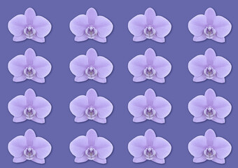 pattern with lilac orchid flowers  on a purple background. color of the year 17-3938 Very Peri.