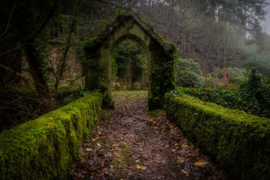 Abandoned Church Yard on a misty morning 