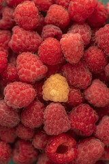 Ripe red raspberries on a plate.