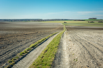Fototapeta na wymiar A long dirt road through a plowed field