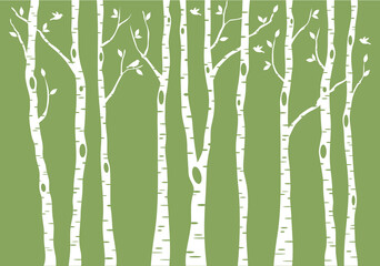birch tree forest, vector background illustration - 487374571