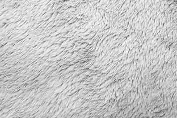White fluffy fur fabric wool texture background
