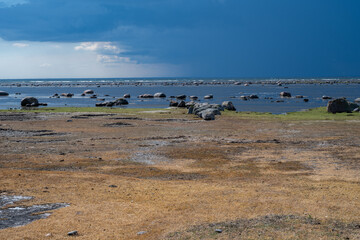 A moor landscape with a blue sky and ocean in the background. Picture from the Baltic Sea island of Oland