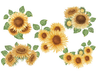A collection of vintage style watercolor sunflower graphic illustrations on white background for cards, postcards, backgrounds, digital prints, fabric patterns, embellishments, and more.