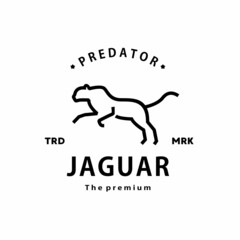 vintage retro hipster jaguar logo vector outline monoline art icon
