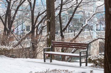 bench in the snow