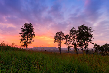 Plakat Thung Salaeng Luang National Park Beautiful green hills glowing warm sunrise,Dramatic shine silhouette tree colorful warm above mountain at Phetchabun Province,Thailand
