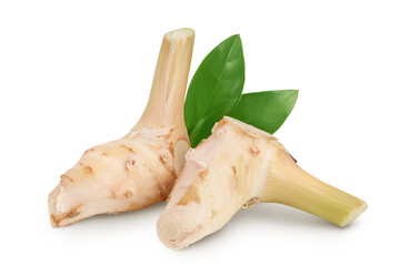 Fototapeta premium Fresh galangal root isolated on white background with clipping path and full depth of field.