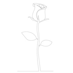 rose drawing in one line, outline, isolated, vector