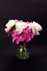 Bouquet of pink and white peonies in glass vase on black background. Floral card design