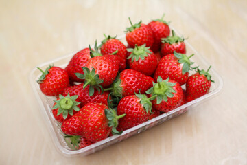 いちご狩りで採った新鮮なイチゴ