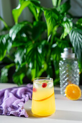 Orange Raspberry Gin and Tonic 