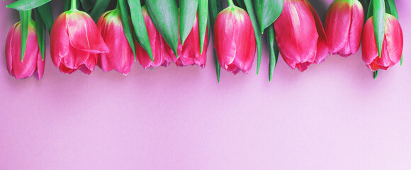 Pink fresh flowers tulips background with copy space. Romantic composition. Flat lay, top view. banner