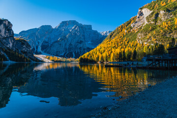 Autumn and golden reflections on Lake Braies. Park of the Dolomites.