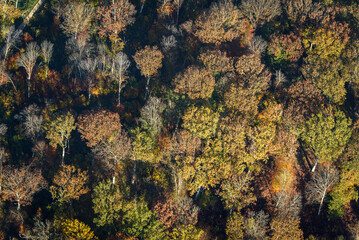 vue aérienne de la forêt à l'automne à Ermenonville dans l'Oise en France