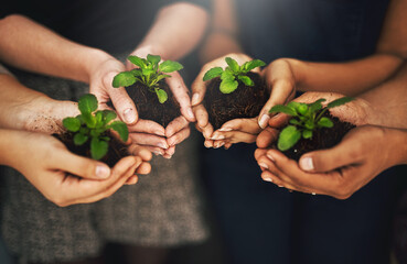 Together we can make Mother Nature proud. Cropped shot of a group of people holding plants growing...