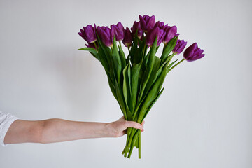 Happy woman holds purple tulips in her hands. Florist girl gathered a bouquet. Beautiful lavender flowers. Blossom petal. Gift for the holiday celebration, springtime mood. Romantic surprise
