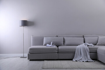 Large grey sofa in living room. Interior design