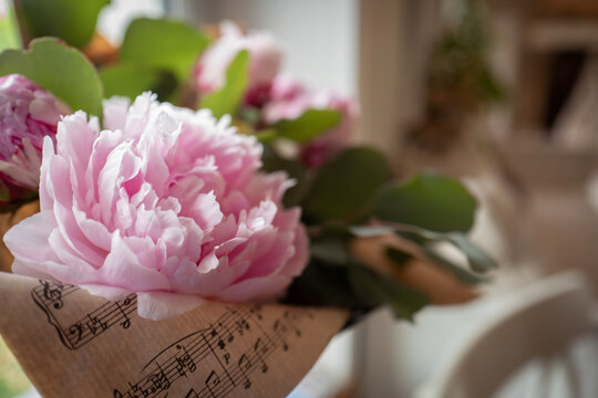 Pivoine